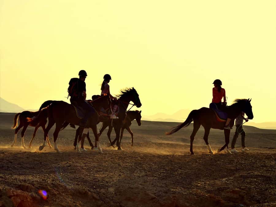 Hurghada: Sea & Desert Horse Tour, Stargazing, Dinner & Show - What the guides add to the experience