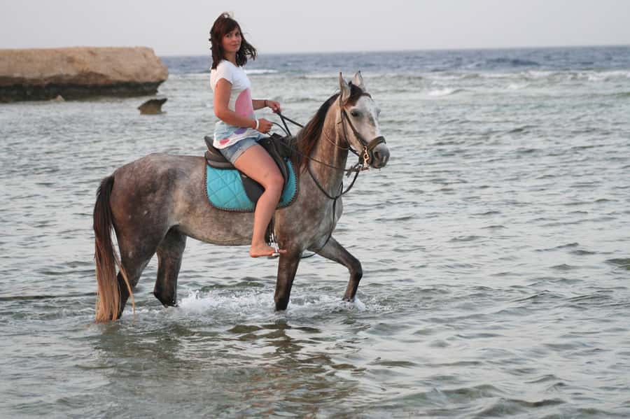 Hurghada: Sea & Desert Horse Tour, Stargazing, Dinner & Show - A calm start for first-time riders