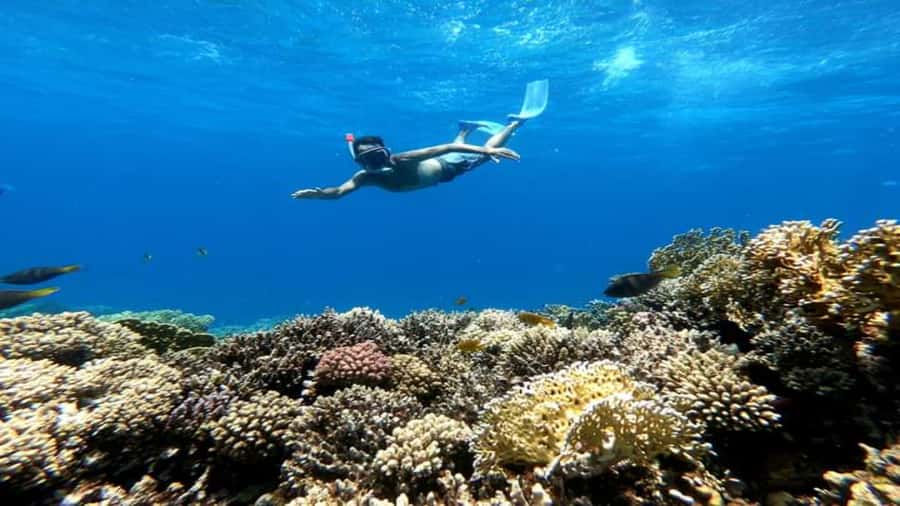 Hurghada: Snorkeling 6 x 1 to Orange Bay w Diving & Massage - Snorkeling over Red Sea coral