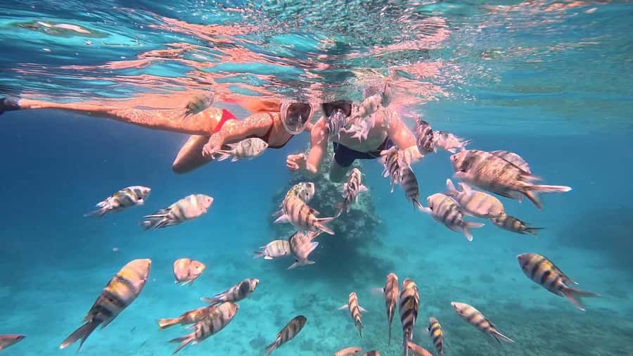 Hurghada: Snorkelling Trip by Speedboat with Hotel Pickup - Is $37 a fair price for four hours?