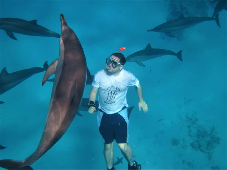 Hurghada: Speedboat Dolphin Watching & Snorkeling with Lunch - Why the Small Speedboat Changes the Day