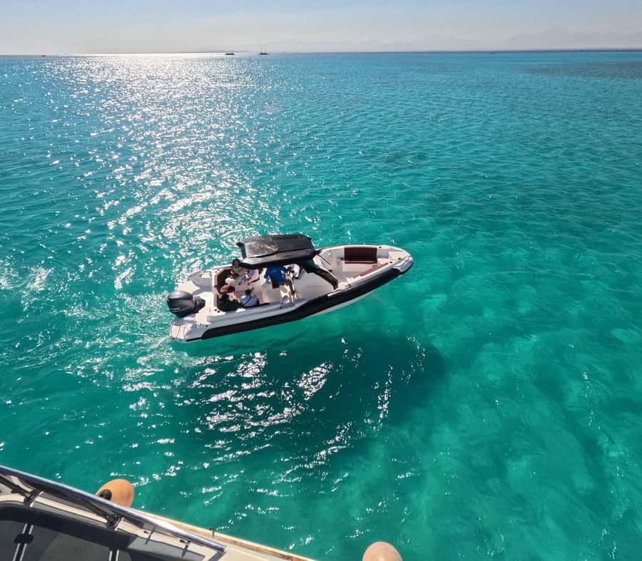 Hurghada: Speedboat Dolphin Watching & Snorkeling with Lunch - Two Reef Stops Put the Red Sea at Center Stage