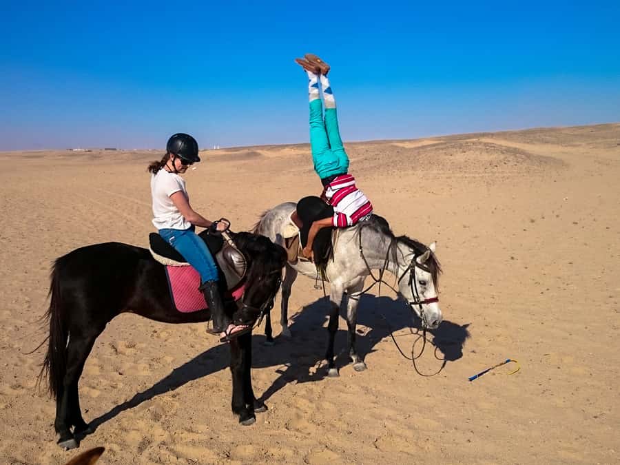 Hurghada: Sunset Sea, Desert Horse W Opt, Dinner, Stargazing - The guides make the difference for new riders