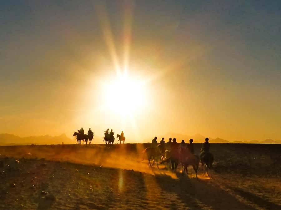 Hurghada: Sunset Sea, Desert Horse W Opt, Dinner, Stargazing - Hotel pickup from four Red Sea resort areas