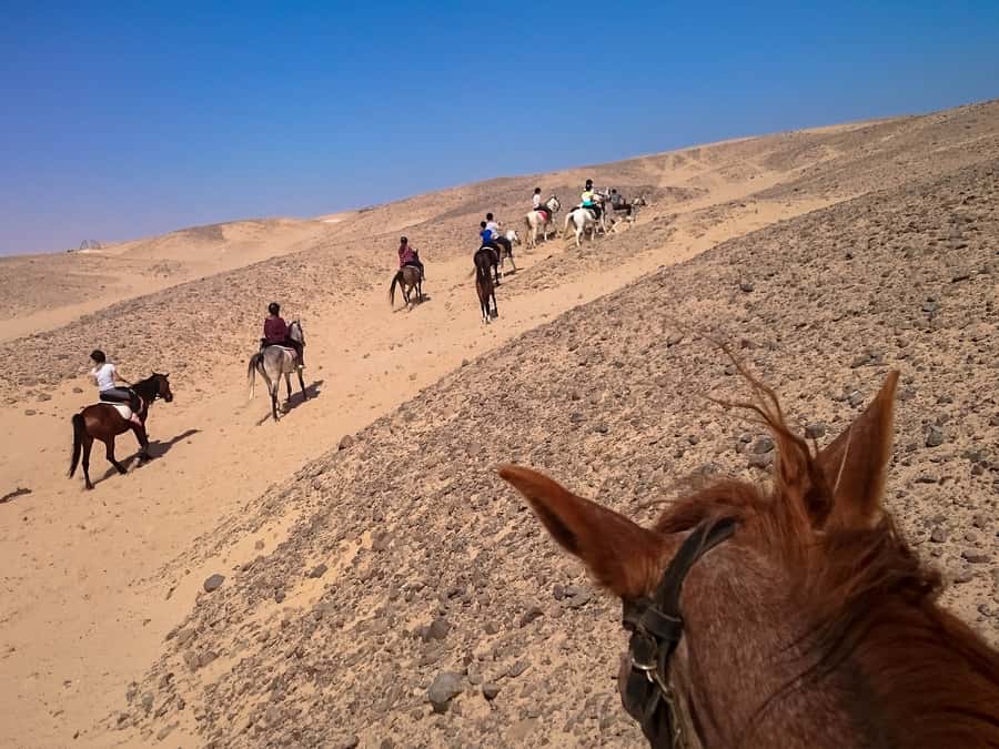 Hurghada: Sunset Sea, Desert Horse W Opt, Dinner, Stargazing - Meeting your horse and getting ready to ride