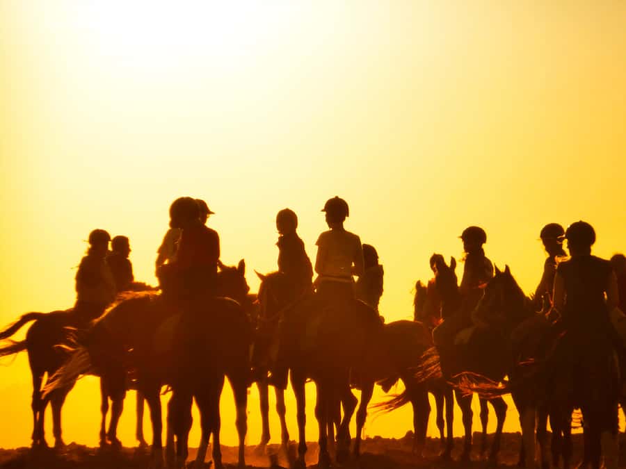 Hurghada: Sunset Sea, Desert Horse W Opt, Dinner, Stargazing - Two hours across desert and seaside trails