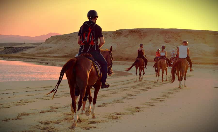 Hurghada: Sunset Sea, Desert Horse W Opt, Dinner, Stargazing - Why sunset works better than the midday desert