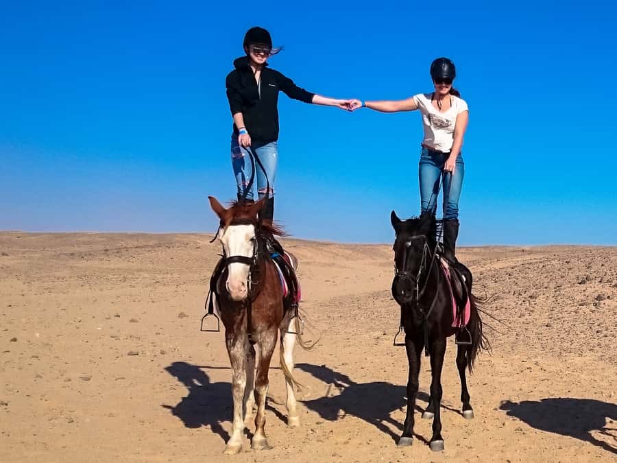 Hurghada: Sunset Sea, Desert Horse W Opt, Dinner, Stargazing - The unusual VIP swim stop with your horse