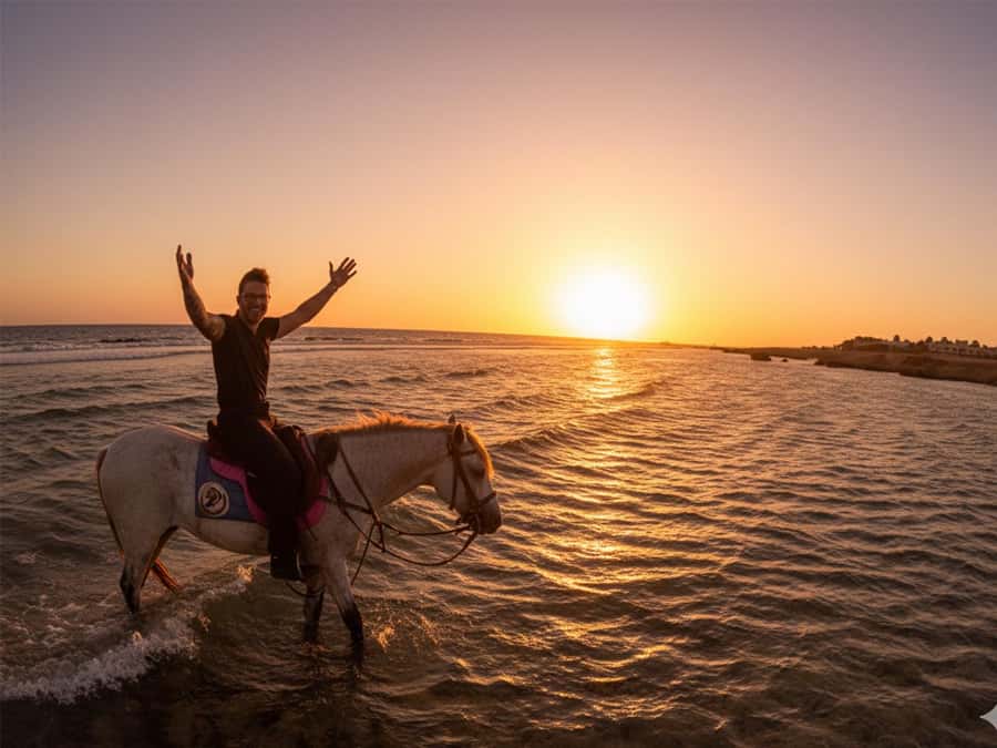 Hurghada: Sunset Sea, Desert Horse W Opt, Dinner, Stargazing - Choosing the right version of the experience