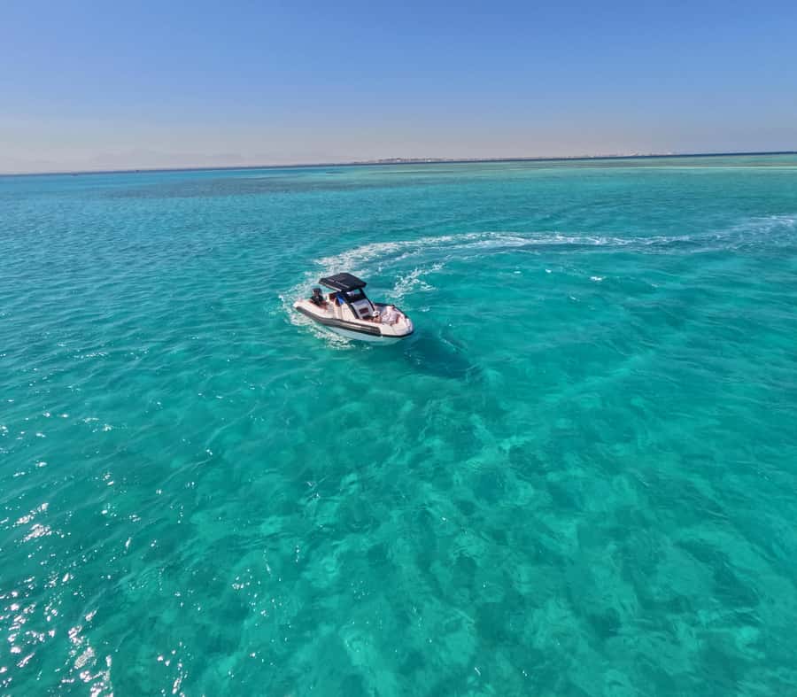 Hurghada: Turtle Bay Speedboat Tour with Snorkeling - Two snorkeling stops and what you may see