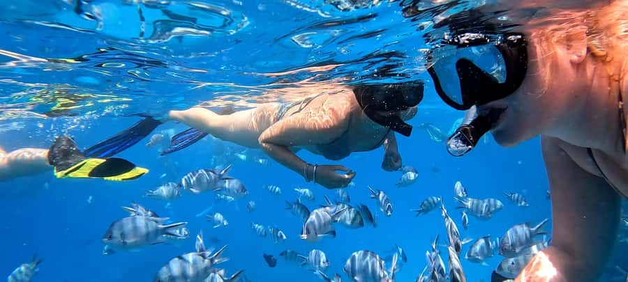 Hurghada: White Island Speedboat Tour, Snorkeling, & Lunch - Practical booking advice from pickup to return