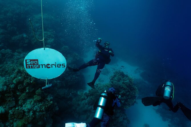 Intro Diving 2 Stops For Beginners with Pick-up and Lunch - Hurghada - The short lesson before entering the water