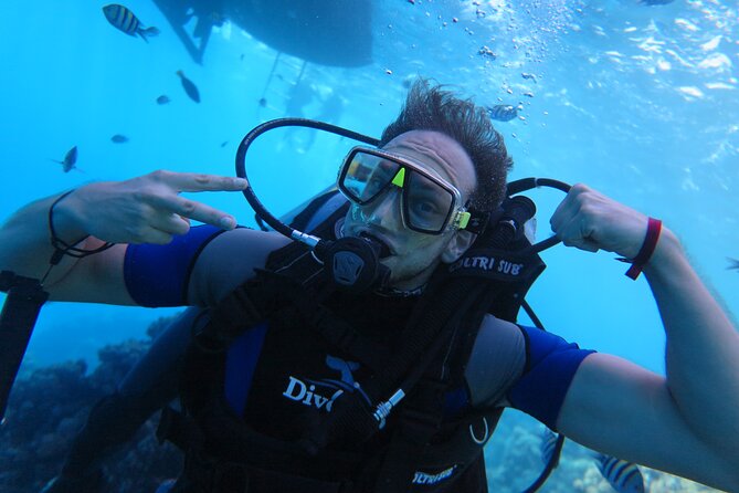 Intro Diving 2 Stops For Beginners with Pick-up and Lunch - Hurghada - First underwater session: getting comfortable on the reef