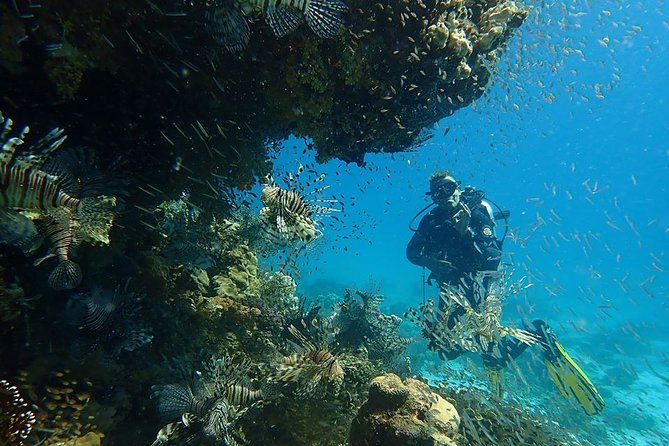 Intro Diving 2 Stops For Beginners with Pick-up and Lunch - Hurghada - Lunch, drinks, and life on the boat