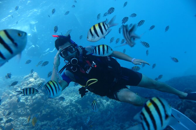 Intro Diving 2 Stops For Beginners with Pick-up and Lunch - Hurghada - Safety, supervision, and comfort for first-timers