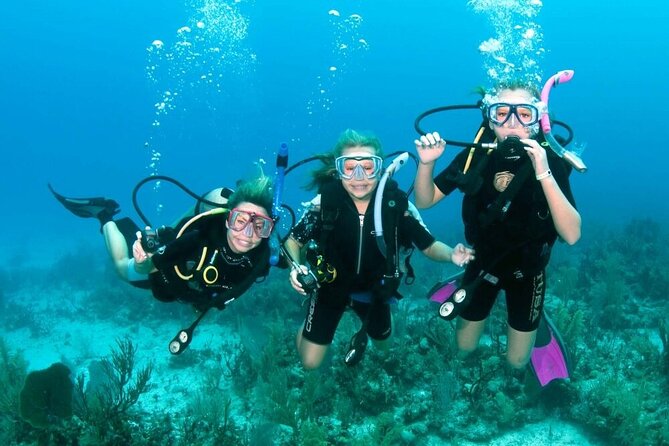Intro Diving for Beginners 2 Stops Diving with Lunch - Hurghada - A first Red Sea experience for beginners
