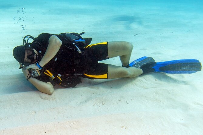 Intro Diving for Beginners 2 Stops Diving with Lunch - Hurghada - From your hotel to the Hurghada pier