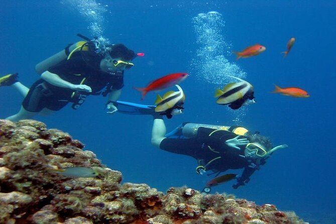 Intro Diving for Beginners 2 Stops Diving with Lunch - Hurghada - Lunch on the boat