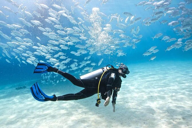 Intro Diving for Beginners 2 Stops Diving with Lunch - Hurghada - The route has one detail worth clarifying