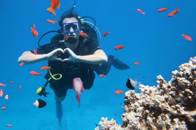 Introduction: Diving from the Reef in Sharm El Sheikh - What this Sharm el Sheikh experience really offers