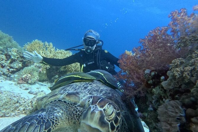 Introduction: Diving from the Reef in Sharm El Sheikh - Group size, instruction, and comfort