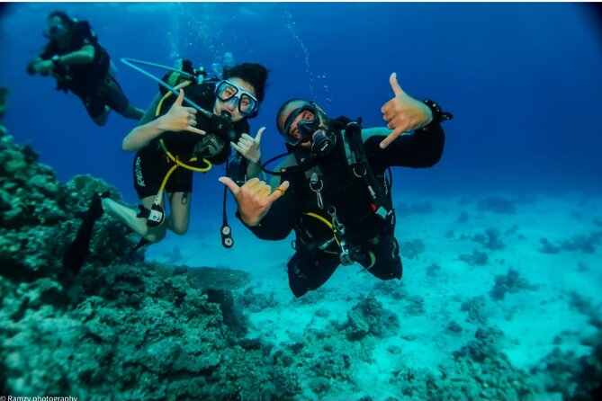 Introduction: Diving from the Reef in Sharm El Sheikh - Meeting the PADI instructor and getting prepared