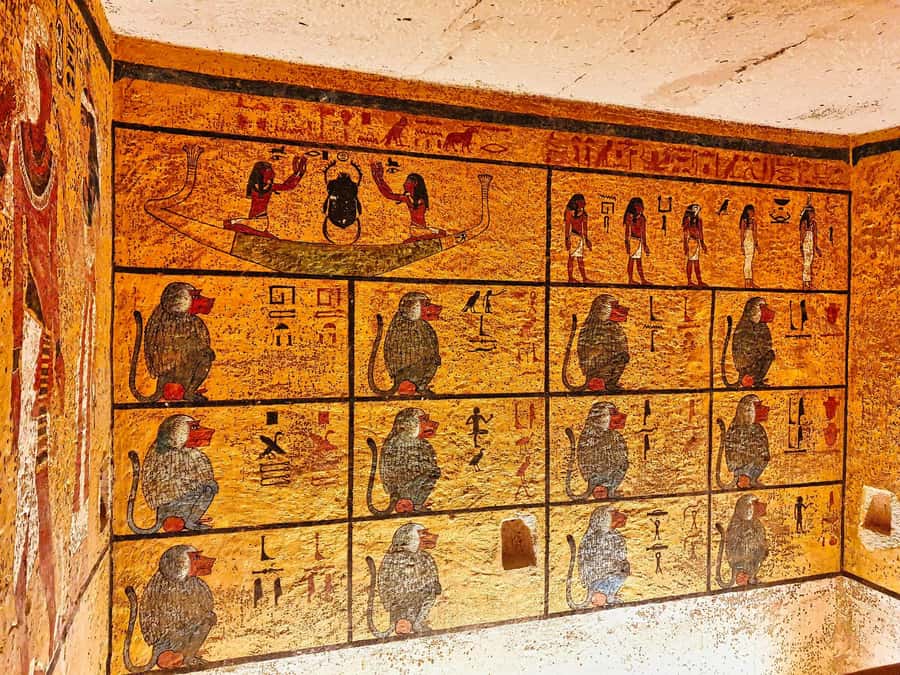 Luxor: All-Inclusive West Bank Tour, Sound & Light Show - Why this Luxor day works