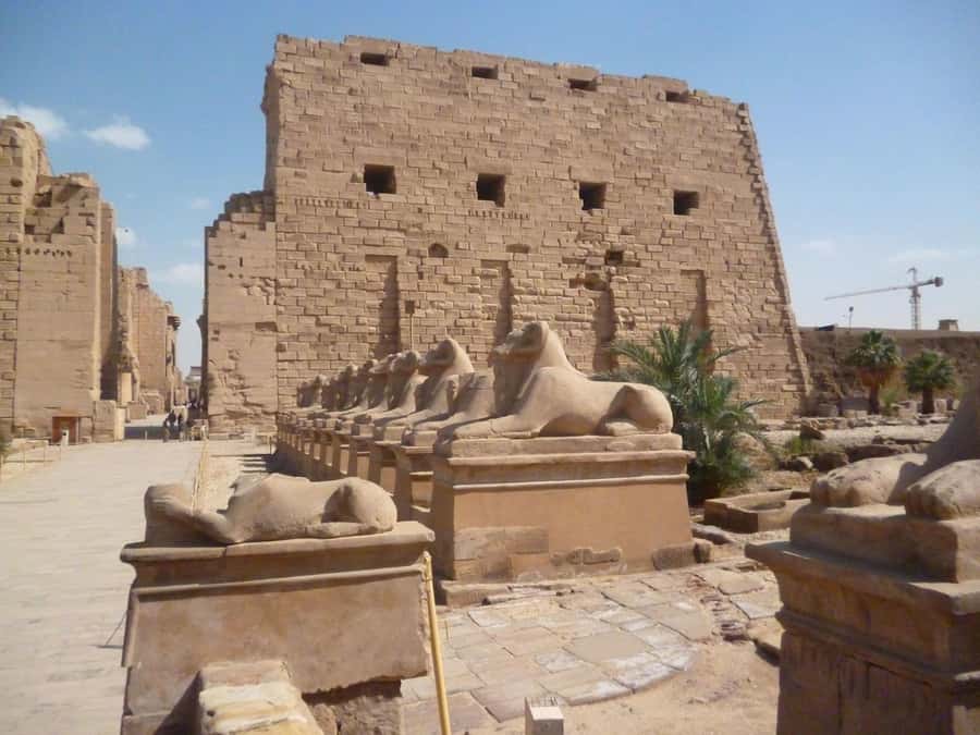 Luxor: Private East and West Banks Tour and Felucca Cruise - Felucca sailing: a slower hour on the Nile