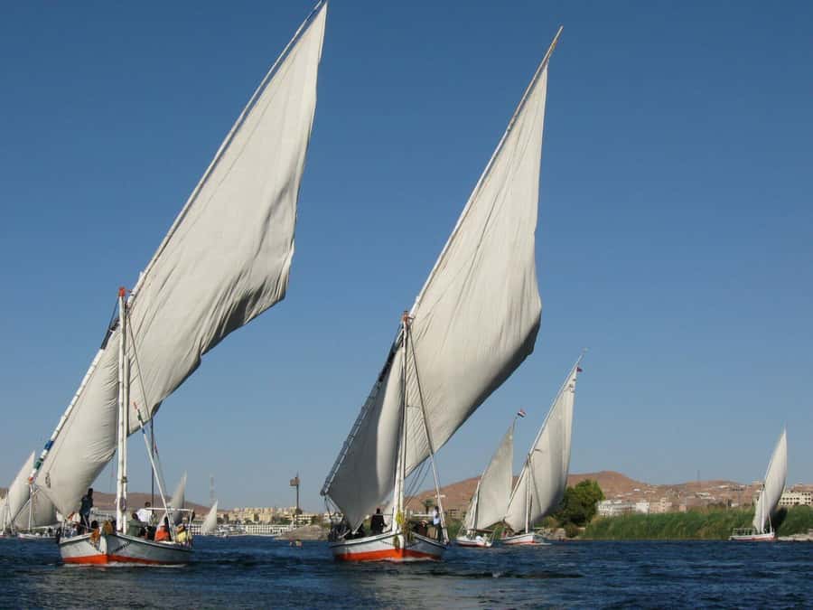 Luxor: Private Felucca Boat Trip with Hotel Pickup - Reading the riverbank as you sail