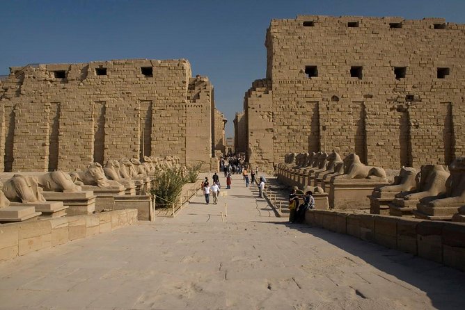 Luxor Private Full-Day Tour: Discover the East and West Banks of the Nile - What the private format adds at $90
