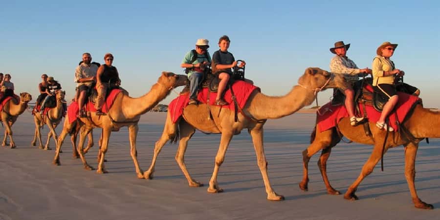 Luxor: Scenic Camel or Horse Ride - Camel or horse: which ride fits you best?