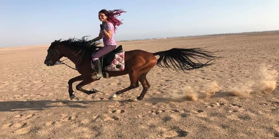 Luxor: Scenic Camel or Horse Ride - The West Bank route: fruit trees, lanes, and Nile views