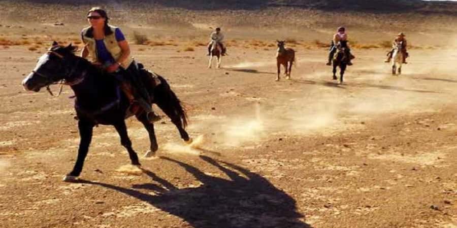 Luxor: Scenic Camel or Horse Ride - Animal care and beginner comfort