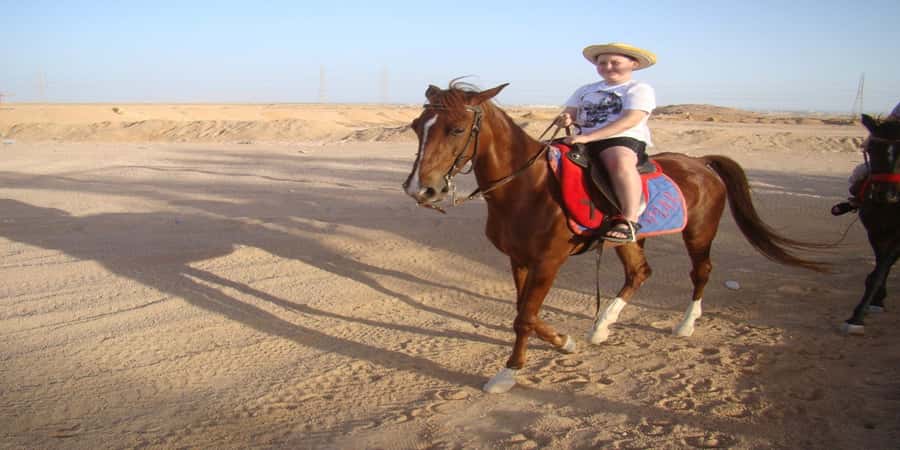 Luxor: Scenic Camel or Horse Ride - A close look at the $15 price
