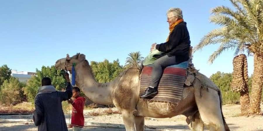 Luxor: Scenic Camel or Horse Ride - What happens during the 90-minute outing