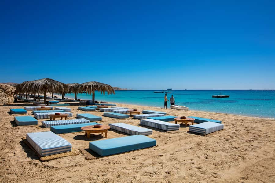Mahmya Island: Red Sea Sailing Experience - The mid-day reef snorkeling trip