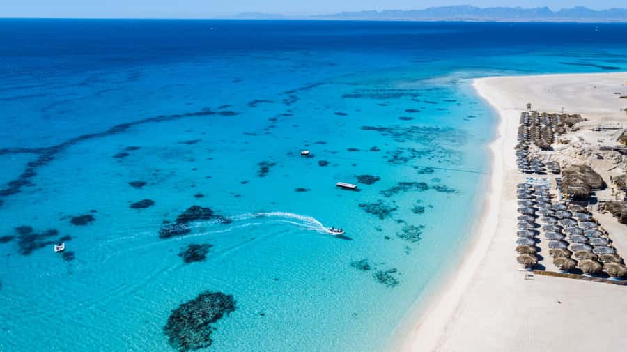 Mahmya Island: Red Sea Sailing Experience - Lunch under the palm-tree pergolas