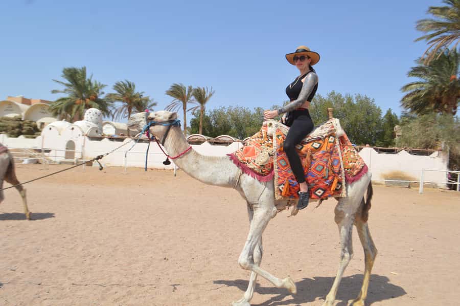 Makadi Bay: ATV, Sea View, Camel, Stargazing, Dinner & Show - Who will enjoy this Makadi Bay quad tour?