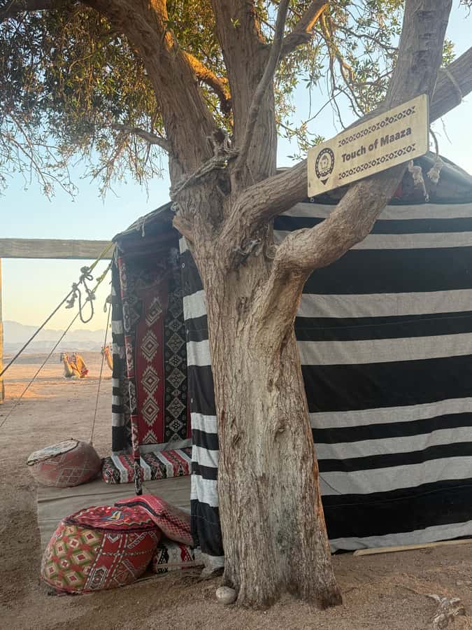 Makadi Bay: BADU Luxury Bedouin Dinner Experience & Stargaze - Welcome tea and a camp built for an evening
