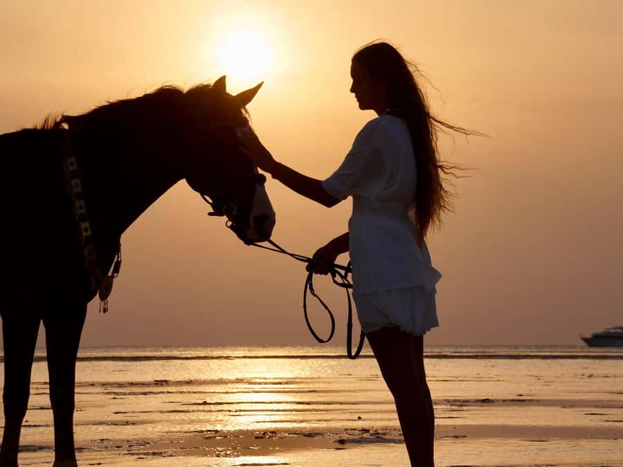 Makadi Bay: Horse Riding in Desert & Sea w Guide + Transfers - Key points to know before you ride