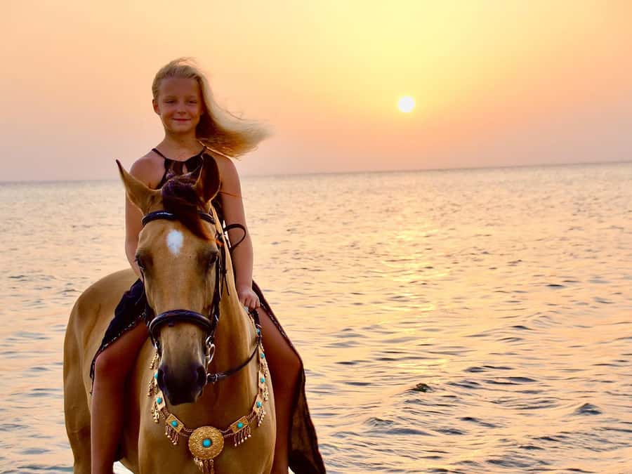 Makadi Bay: Horse Riding in Desert & Sea w Guide + Transfers - Meeting your horse and guide