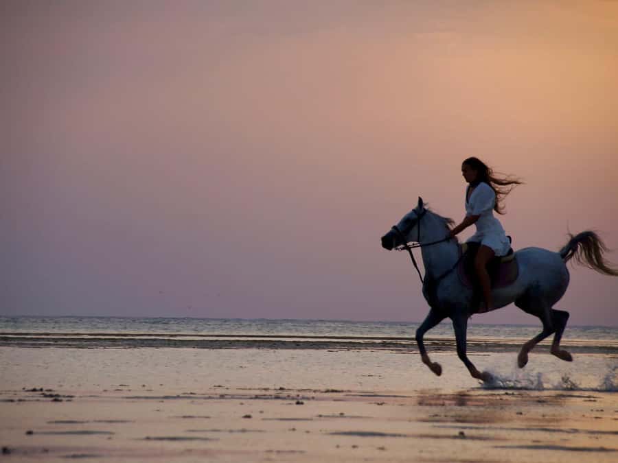 Makadi Bay: Horse Riding in Desert & Sea w Guide + Transfers - Two hours across sand, shore, and open space