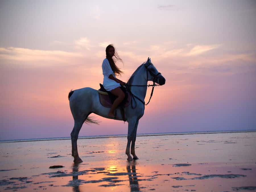 Makadi Bay: Horse Riding in Desert & Sea w Guide + Transfers - What the ride feels like for beginners