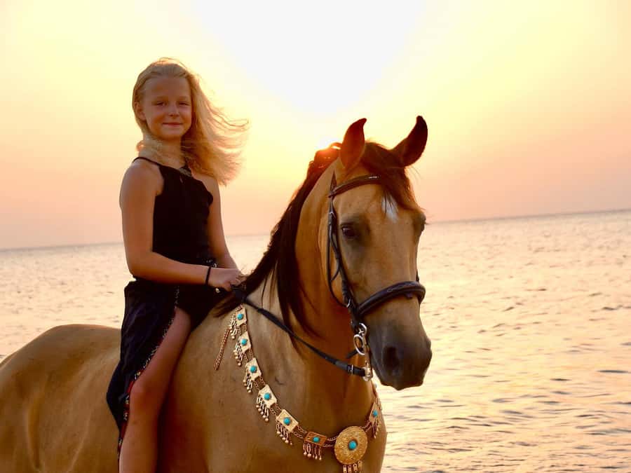 Makadi Bay: Horse Riding in Desert & Sea w Guide + Transfers - The $35 price and what it covers