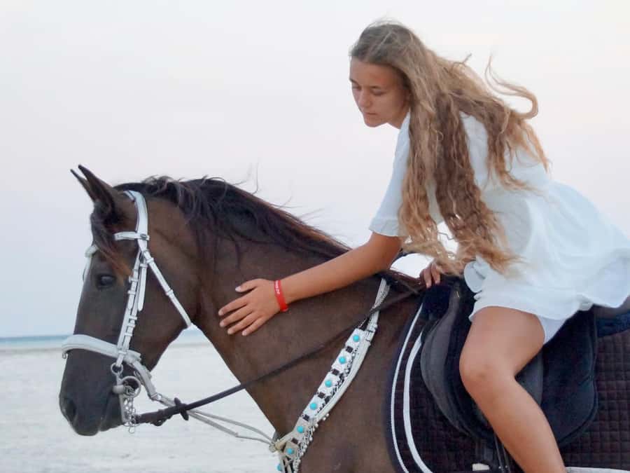 Makadi Bay: Horse Riding in Desert & Sea w Guide + Transfers - Who will enjoy this Makadi Bay ride
