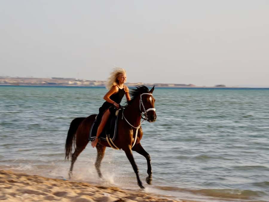Makadi Bay: Horse Riding in Desert & Sea w Guide + Transfers - Leaving Hurghada for Makadi Bay