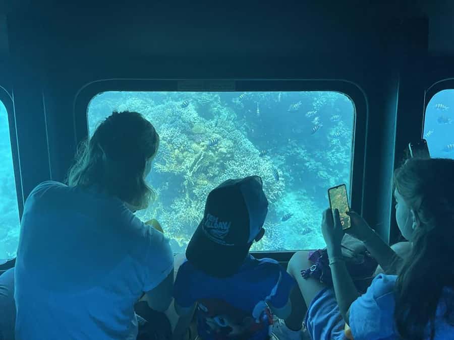 Makadi Bay: Royal Seascope Submarine Cruise & Snorkel stop - What the Royal Seascope actually offers