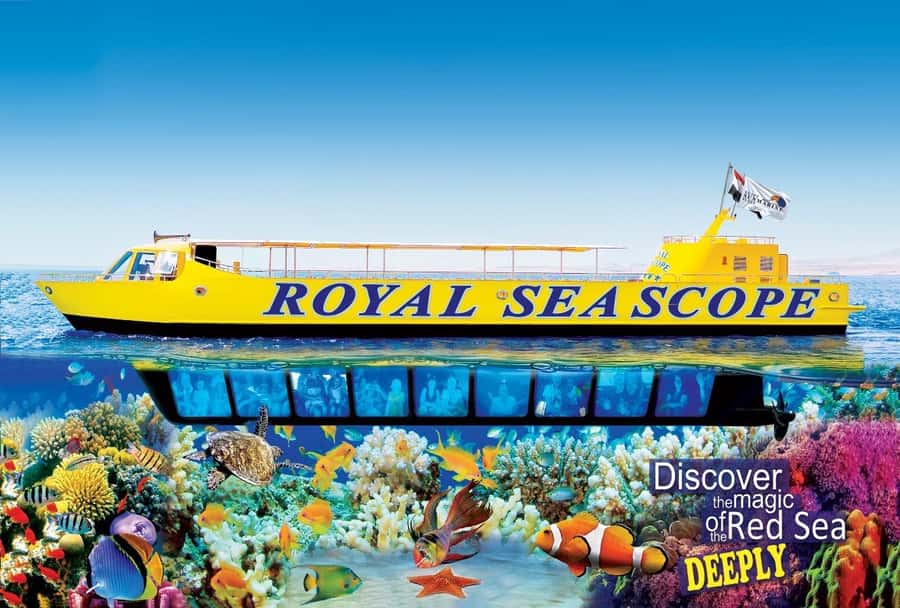 Makadi Bay: Royal Seascope Submarine Cruise & Snorkel stop - Forty-five minutes behind the underwater windows