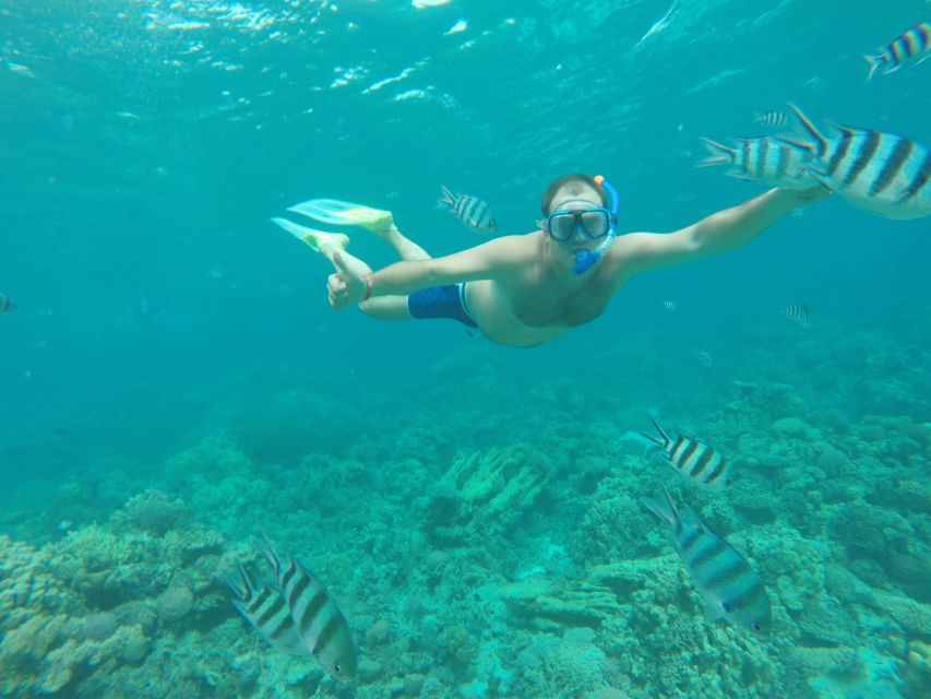 Makadi Bay: Snorkelling and Diving Island Trip - Snorkeling, coral reefs, and what you might see