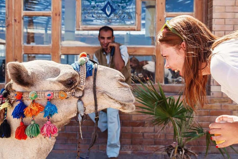 Marsa Alam Bedouin Nights: Jeep Safari, Dinner & Stargazing - Dinner, tea, and an evening around the fire